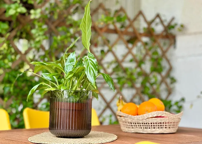 Hébergement de vacances Sunset Hill Escape *